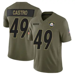 Pittsburgh Steelers Men's Sebastian Castro Limited 2025 Salute to Service Jersey - Olive